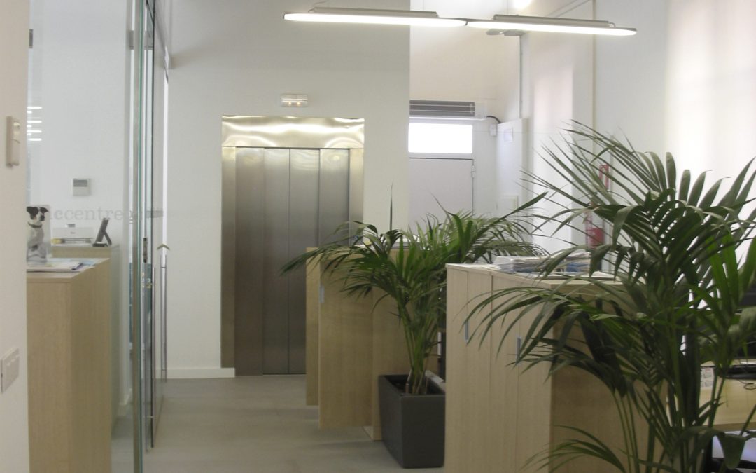 cons-ofi-local.04